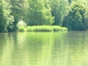 Seeblick