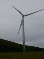 Windkraft