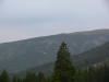 Hirschegger Alm