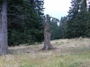 Überbleibsel