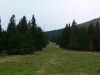 Richtung Speikkogel