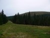 Speik im Blick