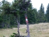 Wandermarkierung