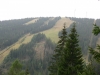 Skipisten - Salzstiegllifte