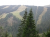 Skipisten - Salzstiegllifte