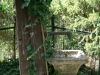 Brunnen