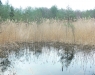 Beobachtungswarte Niedermoor