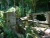 Runie