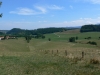 Fernblick