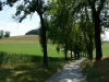Toskanafeeling