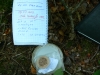 Cache
