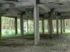 Waldhalle