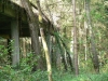 Waldhalle
