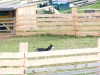 Huskycamp