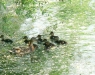 Familienausflug