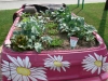 Vitamin Cabrio Heckansicht