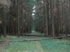 Trassenführung