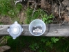 Cache