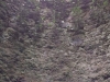 Kalkbrennofen