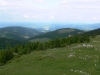 Fernblick