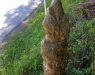 Stalagmit
