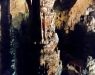 Bizarre Formen II