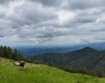Fernblick