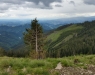 Weitblick