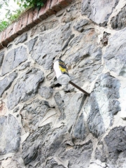 Cache?