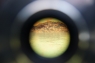Blick zurück