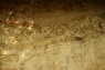 DSC04181